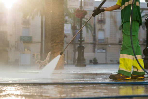 Best Gutter Cleaning  in Edina, MO